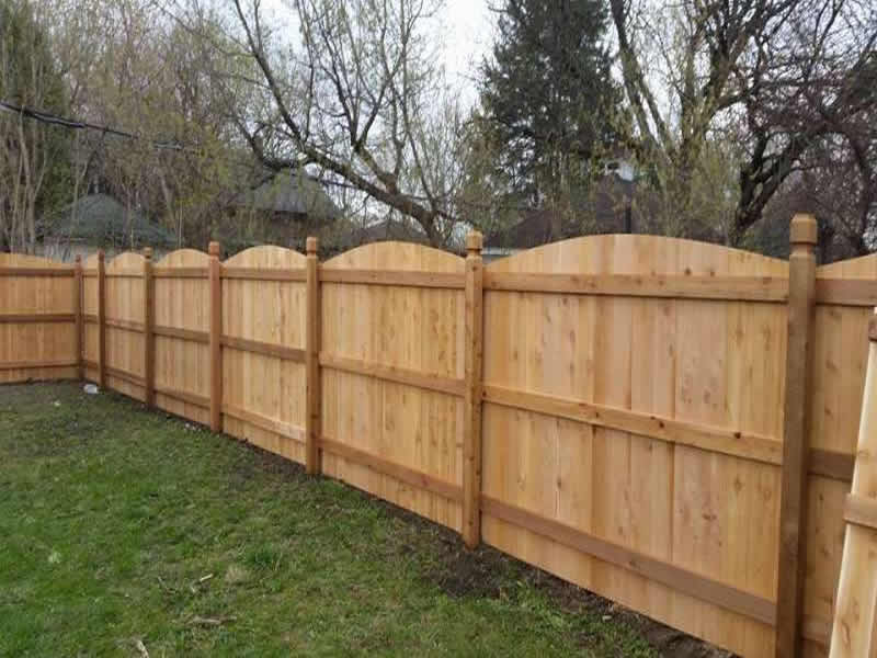 Gallery Image Description